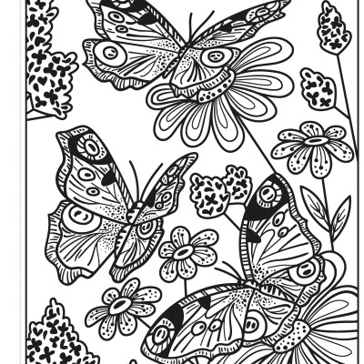 Butterflies Magic Painting Book