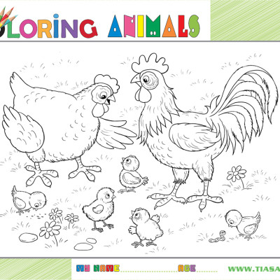 Tranh xếp hình Tia Sáng Đàn gà 30 mảnh ghép - Tặng kèm tranh tô màu cho bé