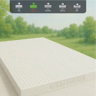 Nệm Cao Su Thiên Nhiên Kim Cương Purelux- 3’Zone