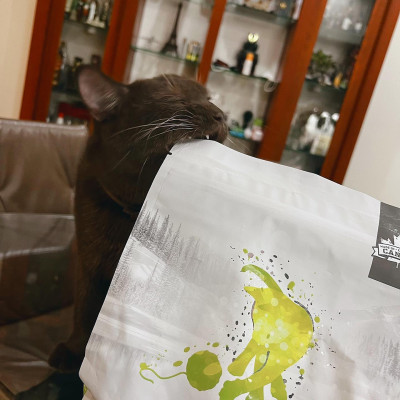 Thức Ăn Cho Mèo Con Nutrience Infusion Bao 500g Vị Thịt Gà Tây Rau Củ Trái Cây Tự Nhiên Giúp  Phát Triển Trí Não Hệ Tiêu Hoá