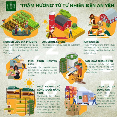 Nụ Trầm Hương Yên Loại Tuệ Sạch Tự Nhiên Ít Khói An Toàn Dùng Thiền Thờ Cúng Thư Giãn