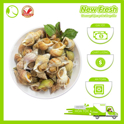 [GIAO NHANH HCM] Ốc Bulot Pháp Đông Lạnh - Túi 1Kg