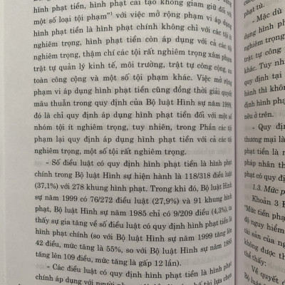 Hình Phạt Tiền Trong Pháp Luật Hình Sự Việt Nam Và Thực Tiễn Áp Dụng (Sách Chuyên Khảo)