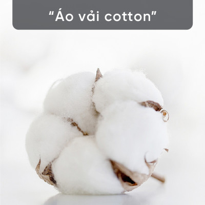 Tấm Bảo Vệ Nệm TATANA