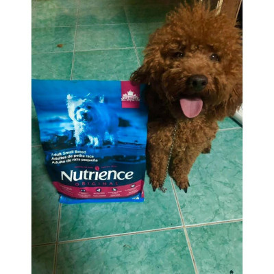 Thức Ăn Cho Chó - Size Nhỏ Trưởng Thành Trên 12 Tháng Nutrience Original Bao 2,5kg - Thịt Gà, Rau Củ, Trái Cây