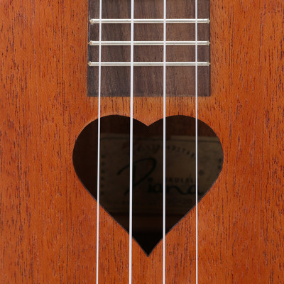 Combo Đàn Ukulele Và Bao Đàn Vines DC20+Bao