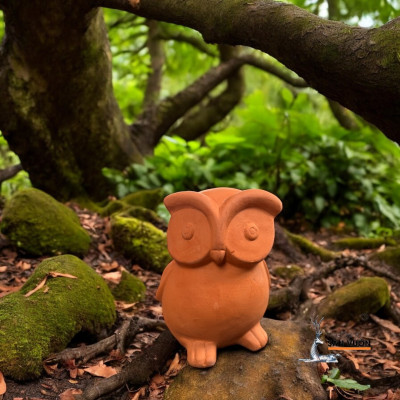 Tượng Gốm Đất Nung Hình Con Cú 10x11x25cm