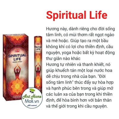 Nhóm nhang Hem phục vụ Chữa lành - Thiền định - Cầu nguyện - Kết nối tâm linh