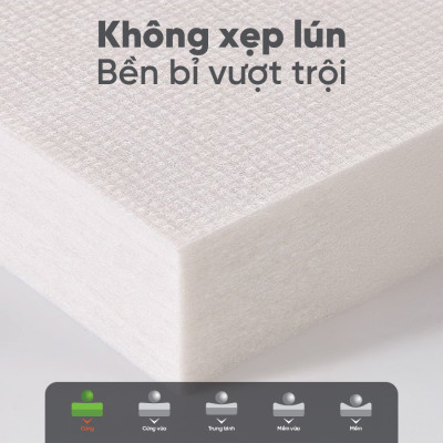 Nệm Bông Ép Vạn Thành Gấp 3 Vải Tricat, Tiện lợi Dễ Gấp  Gọn Bảo Hành 7 Năm