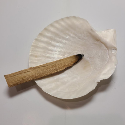 Combo 1 Đĩa ốc xà cừ + 20gr vụn xô trắng hoặc vụn palo santo + 10 viên than