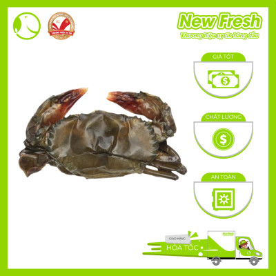 [GIAO NHANH HCM] Cua Lột Myanmar - Túi 1Kg (8-10 con)