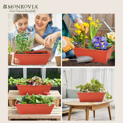 Combo chậu nhựa trồng cây chữ nhật kèm giỏ treo hoa ban công Monrovia, chậu trồng rau, khay trồng rau, trồng hoa