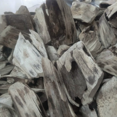 Trầm hương miếng hàng đẹp chuẩn rừng Tiên Phước Quảng Nam ( một gói 100g) - Trầm sạch tốt cho sức khỏe