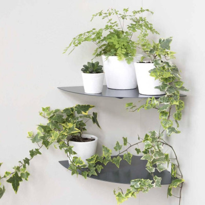 Kệ góc tường 24