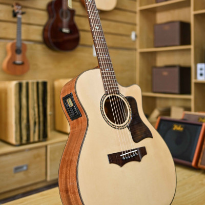 Đàn guitar acoustic C#12AA (Khảm trai)