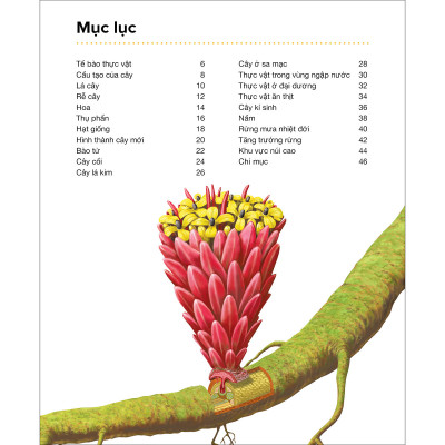 Thực Vật - Hành Trình Khám Phá