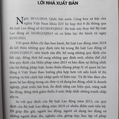 Bình Luận Những Điểm Mới  Của Bộ Luật Lao Động Năm 2019