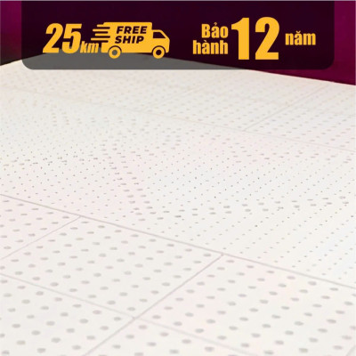 Nệm Cao Su Thiên Nhiên Kim Cương Purelux- 3’Zone