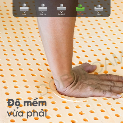 Nệm Cao Su Một Mặt Lỗ Đồng Phú DPCS1615 (160 x 200 x 15 cm)