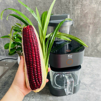 Máy sữa hạt đa năng KUCHEN DKS1281 - Hàng Chính Hãng