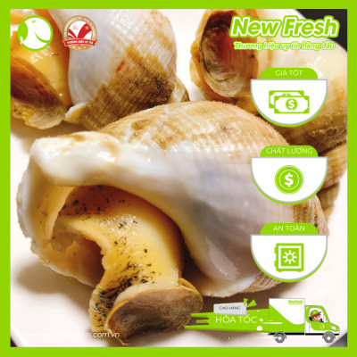 [GIAO NHANH HCM] Ốc Bulot Pháp Đông Lạnh - Túi 1Kg