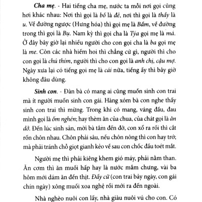 Việt Nam Phong Tục - Tái Bản