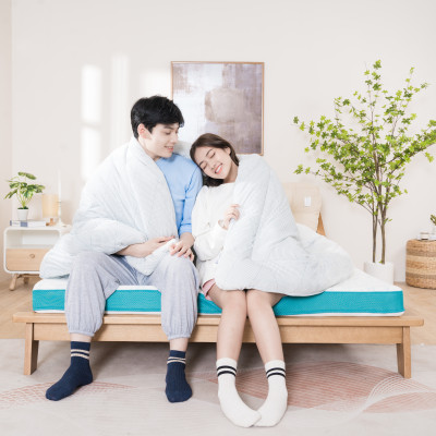 Nệm Foam Nhật Bản cao cấp Aeroflow Standard mềm mại, êm ái, nâng đỡ tối đa, thoáng khí cao - Cảm hứng từ giấc ngủ