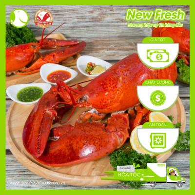 [GIAO NHANH HCM] Tôm Hùm Baby Canada Hấp - 1 Con