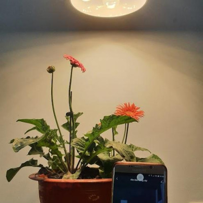 Đèn quang hợp, đèn trồng cây trong nhà 9W, chiếu sáng quang hợp cho cây xanh - Hàng Chính hãng Rạng Đông