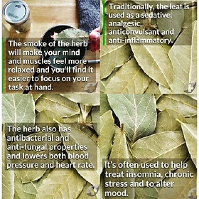 Vỏ ốc xà cừ thô các loại size vừa - Dụng cụ đốt xô thơm và Palo santo