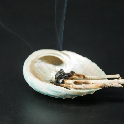 Vỏ Đĩa Ốc Xà Cừ Xanh - Hồng dùng đốt xô thơm - Palo santo các size lớn nhỏ