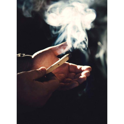 Combo 5 thanh gỗ palo santo - Gỗ thánh - Gỗ thanh tẩy Tổng 25gr Tặng đĩa sò