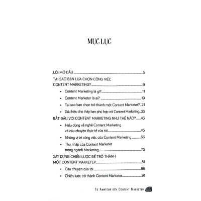 Sách - Từ Amateur Đến Content Marketer - NXB Phụ Nữ