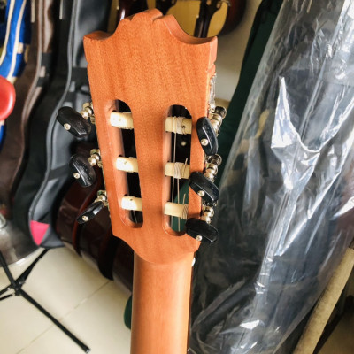 Đàn guitar classic Hồng đào solid DC250J Duy Guitar Store dòng ghitar âm thanh ấm áp cổ điển