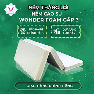 NỆM CAO SU WONDER FOAM THẮNG LỢI GẤP 3 -HÀNG CHÍNH HÃNG