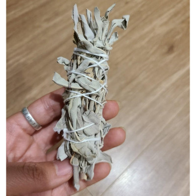 {Bó dùng thử} Xô Thơm Trắng Thanh Tẩy [ White Sage]