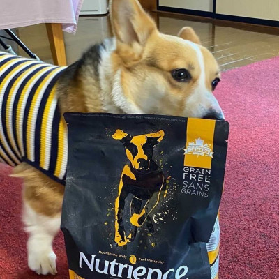 Thức Ăn Hạt Cho Chó - Nutrience Subzero Bao 2,27kg (Da Lông Bóng Mượt) - Thịt Bò, Cá Hồi, Rau Củ Quả, Trái Cây