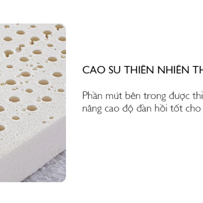 Nệm Bern 1.6m Jang In 1301700001-02