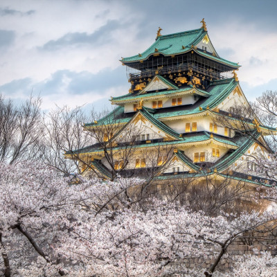 Bộ tranh xếp hình cao cấp 330 mảnh ghép – Lâu Đài Osaka