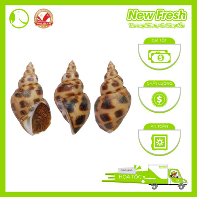 [GIAO NHANH HCM] Ốc Bulot Pháp -  Túi 1Kg
