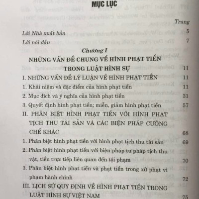 Hình Phạt Tiền Trong Pháp Luật Hình Sự Việt Nam Và Thực Tiễn Áp Dụng (Sách Chuyên Khảo)