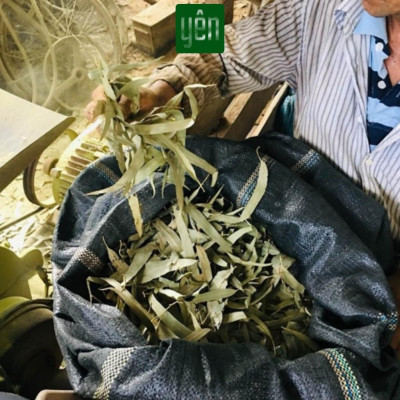 Nhang Khuynh Diệp Sạch 1kg Giá Sỉ Loại 23-30-40cm 800-700-500 Thanh Yên 100 % Tự Nhiên Thờ Cúng Thư Giãn