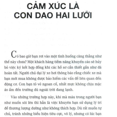 Sức Mạnh Của Trí Tuệ Cảm Xúc (Tái Bản 2020)