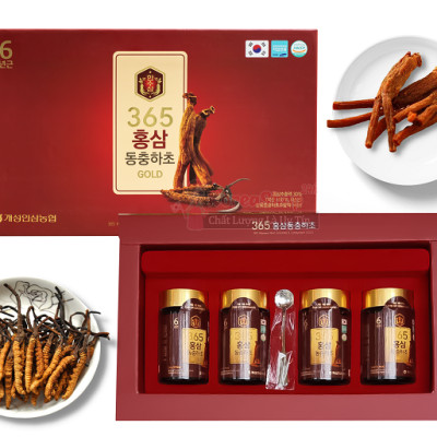 Cao hồng sâm đông trùng hạ thảo 365 Gold Hàn Quốc hộp 4 lọ - Quà tặng thượng hạng cho mọi người