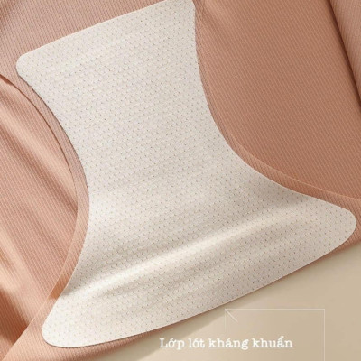 Quần Lót Nữ, Combo 6 Quần Lót Su Thạch Mát Lạnh Ngày Hè, Quần Lót Nữ Không Đường Viền - Hàng Nhập Khẩu