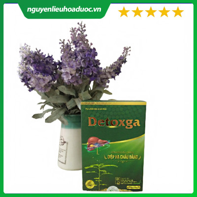Thực phẩm bảo vệ sức khỏe Detoxga - bổ gan, giải độc gan, tăng cường chức năng gan, hạ men gan (hộp 60v)