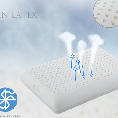 Gối Cao Su Vạn Thành Oval VTGCSO4056 (40 x 64 cm) - Trắng