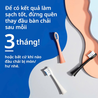 [Chính Hãng] Combo 3 Đầu Bàn Chải Điện Thay Thế Zenyum Sonic  MỚI 2.0- Công Nghệ Singapore - Trắng