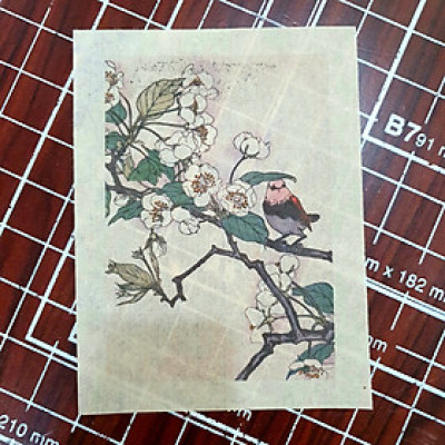 Tranh in giấy dó nguyên chất cực mỏng xuyên sáng tốt - giấy dó thủ công truyền thống Việt Nam