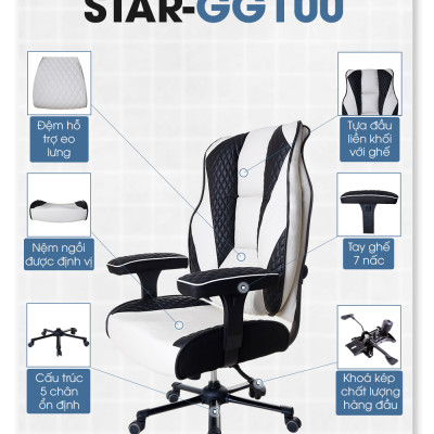 Ghế Game, Ghế Giám đốc cao cấp GG100 Đen Trắng
